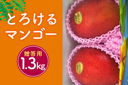 【2024年発送】かねよしマンゴーの甘くとろけるマンゴー1.3kg（大玉650g以上）（贈答用）