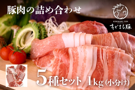 【沖縄県ブランド豚】『キビまる豚』豚肉の詰め合わせ5種セット1kg（小分け）