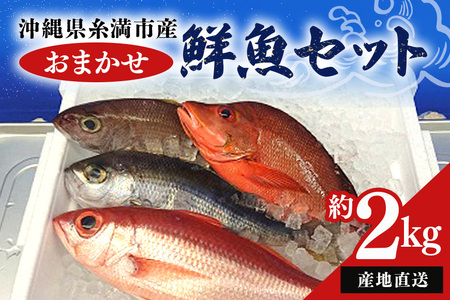 【産地直送】【漁師まちの鮮魚店厳選】おまかせ鮮魚セット（約2kg）