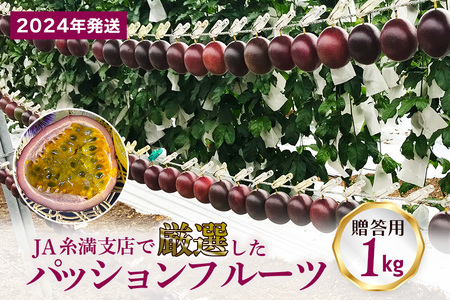 【2024年発送】JA糸満支店で厳選した「パッションフルーツ」贈答用　約1kg