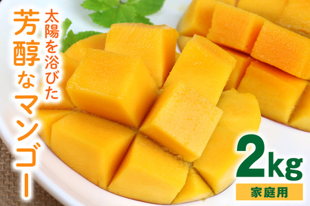 【2024年発送】沖縄の太陽を浴びた芳醇なマンゴー 2kg（ご家庭用）