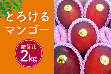 【2024年発送】かねよしマンゴーの甘くとろけるマンゴー2kg（贈答用）