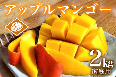 【2024年発送】沖縄県産アップルマンゴー2kg家庭用　山城マンゴー屋