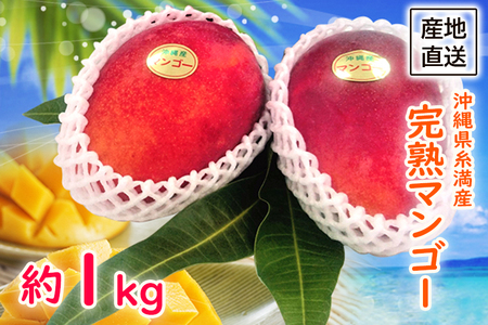 【2024年発送】沖縄県糸満産　完熟マンゴー約1kg