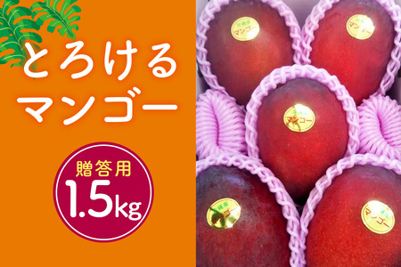 【2024年発送】かねよしマンゴーの甘くとろけるマンゴー1.5kg（贈答用）