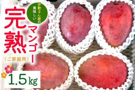 【2024年発送】伊敷さん家の美味しい完熟マンゴー1.5kg（ご家庭用）