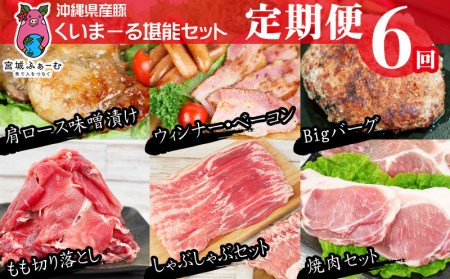 【定期便6回コース】沖縄県産豚　くいまーる堪能セット