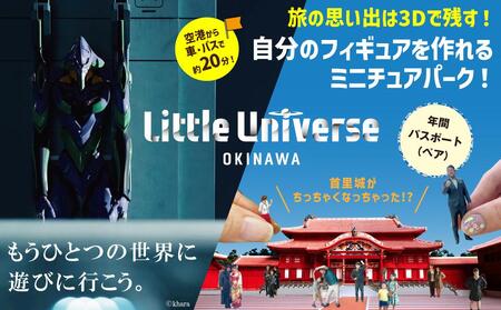 Little Universe 年間パスポート (ペア)