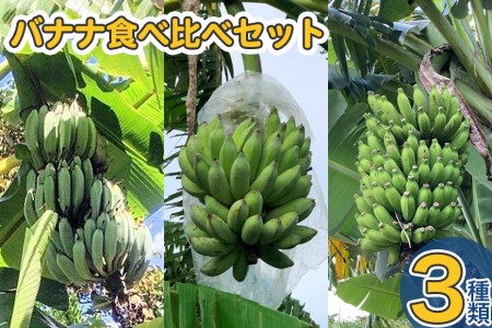 【ハートのまち週間限定】南城市の無農薬栽培バナナ3種類食べ比べセット