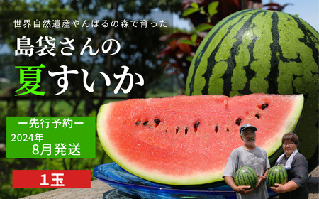島袋さんの夏スイカ（5～7Kg×1玉）【2024年8月発送】