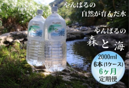 【6ヶ月定期便】やんばるの水 「 森と海」　2000ml  ６ 本