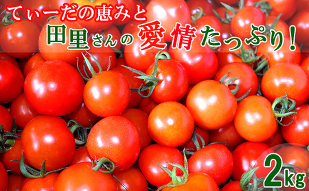 てぃーだの恵みと田里さんの愛情たっぷり！ミニトマト 赤2kg