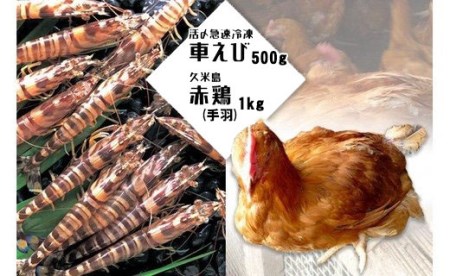 活〆急速冷凍車えび500g・久米島赤鶏（手羽）1kgセット