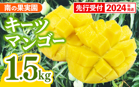 【先行受付】【2024年発送】南の果実園 キーツマンゴー 1.5kg（2玉）