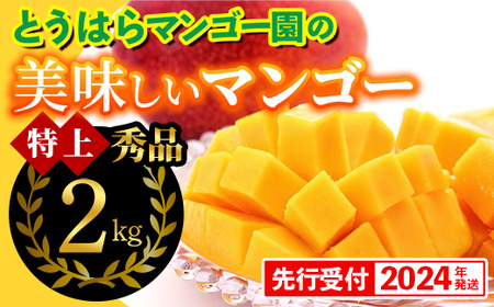 【2023年発送】とうはらマンゴー園の美味しいマンゴー秀品（特上）約2kg