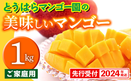 【2023年発送】とうはらマンゴー園の美味しいマンゴー家庭用　約1kg
