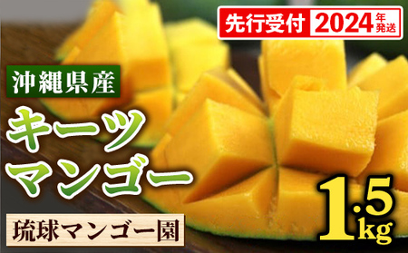 【先行受付】【2024年発送】琉球マンゴー園の幻のマンゴー！キーツマンゴー約1.5kg