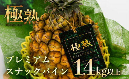 2024年 先行予約 GOKUJUKU -極熟- プレミアム スナックパイン 果物 フルーツ