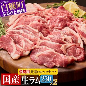 焼肉用ラム肉スライス【250g×2パック、オリジナルスパイス10g】_I017-0442