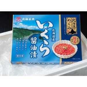 北海道のめぐみ　鮭節醤油いくら　170g×2箱【配送不可地域：離島】【1463807】
