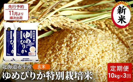 玄米 北海道赤平産 ゆめぴりか 10kg (5kg×2袋) 特別栽培米 【3回お届け】 米 北海道 定期便