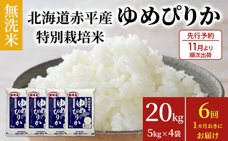 無洗米 北海道赤平産 ゆめぴりか 20kg (5kg×4袋) 特別栽培米 【1ヵ月おきに6回お届け】 米 北海道 定期便