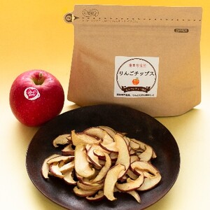 美味しさギュッと凝縮 ピンクレディのりんごチップス(40g×5袋)【1230977】