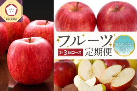 【2024年9月発送開始】 おいしい3種類☆フルーツ定期便【3回】（りんごづくし）りんご