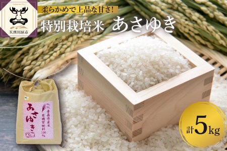 米　令和4年産 特別栽培米 5kg あさゆき 青森 五所川原 お米 白米