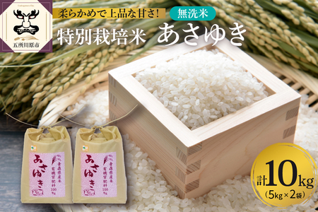 米　令和4年産 特別栽培米 10kg (5kg×2) あさゆき 青森 五所川原 お米 白米