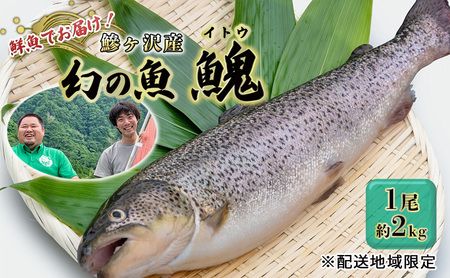 鮮魚でお届け！鰺ヶ沢産「幻の魚イトウ」1尾 約2kg ※配送地域限定