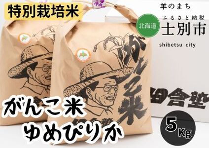 【北海道士別市】田舎塾特別栽培米「がんこ米ゆめぴりか」5Kg
