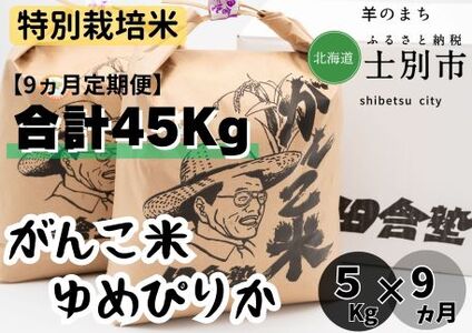 【北海道士別市】（9ヵ月定期便）田舎塾特別栽培米「がんこ米ゆめぴりか」　5kg×9ヵ月
