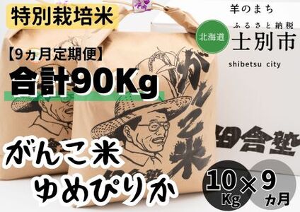 【北海道士別市】（9ヵ月定期便）田舎塾特別栽培米「がんこ米ゆめぴりか」　10kg×9ヵ月