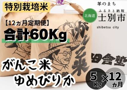 【北海道士別市】（12ヵ月定期便）田舎塾特別栽培米「がんこ米ゆめぴりか」　5kg×12ヵ月