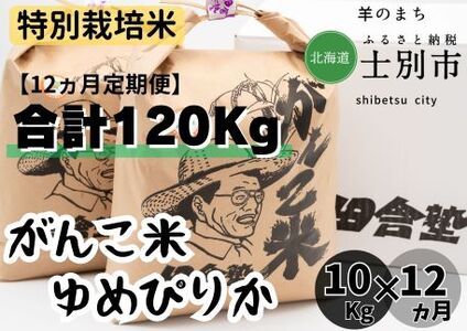 【北海道士別市】（12ヵ月定期便）田舎塾特別栽培米「がんこ米ゆめぴりか」　10kg×12ヵ月