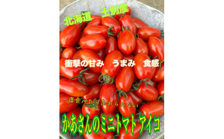 北海道士別産　一度食べたら忘れられない　かあさんのミニトマト（アイコ）