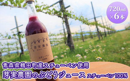 芽実農園のぶどうジュース（スチューベン100％）720ml×6本 青森県鶴田町産スチューベン使用