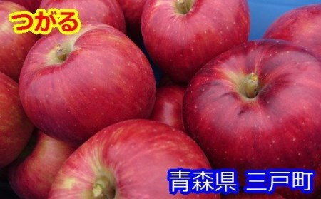 りんご【つがる】14～20玉（約5kg）【2024年産・先行予約】