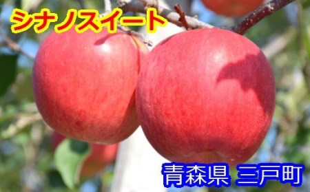 りんご【シナノスイート】14～18玉（約5kg）【2024年産・先行予約】