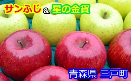 りんご【サンふじ＆星の金貨】セット 12～20玉（約5kg）【2024年産・先行予約】