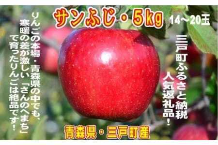 りんご【サンふじ】14～20玉（約5kg）【2024年産・先行予約】
