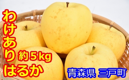 【訳あり】高級りんご「はるか」12～20玉（約5kg）【2024年産・先行予約】