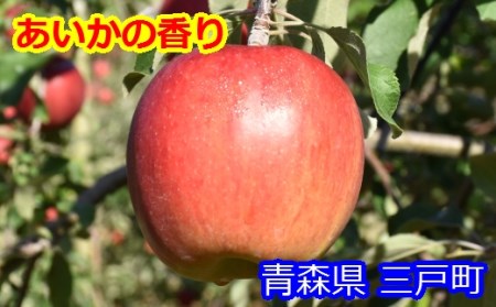 りんご【あいかの香り】12～18玉（約5kg）【2024年産・先行予約】