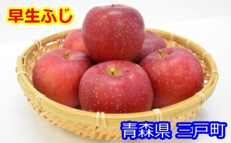りんご【早生ふじ】14～20玉（約5kg）【2024年産・先行予約】