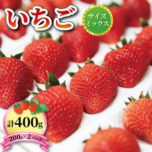 いちご 1種 400g ( 200g × 2 ) 6～12月お届け フルーツ 果物 苺 イチゴ ケーキ