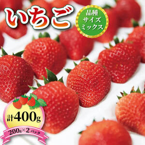 いちご 2種 400g (200g×2) 6~12月お届け フルーツ 果物 苺 イチゴ 