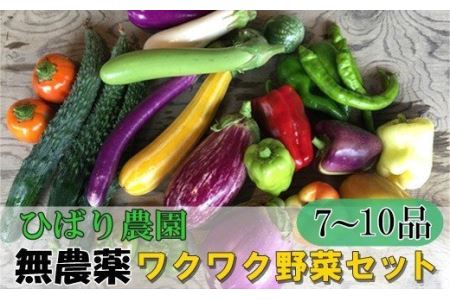 ひばり農園の無農薬ワクワク野菜セット《予約受付 7月より発送開始》 【289】