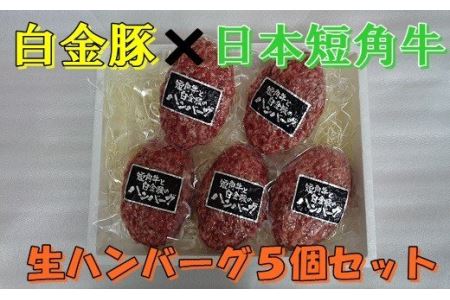 白金豚 × 日本短角牛の生ハンバーグ　５個入 【347】