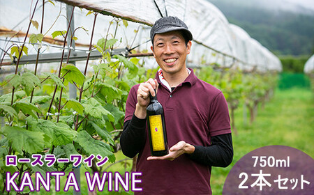 ロースラー ワイン KANTA WINE  2022（赤）750ml×2本セット 【967】
